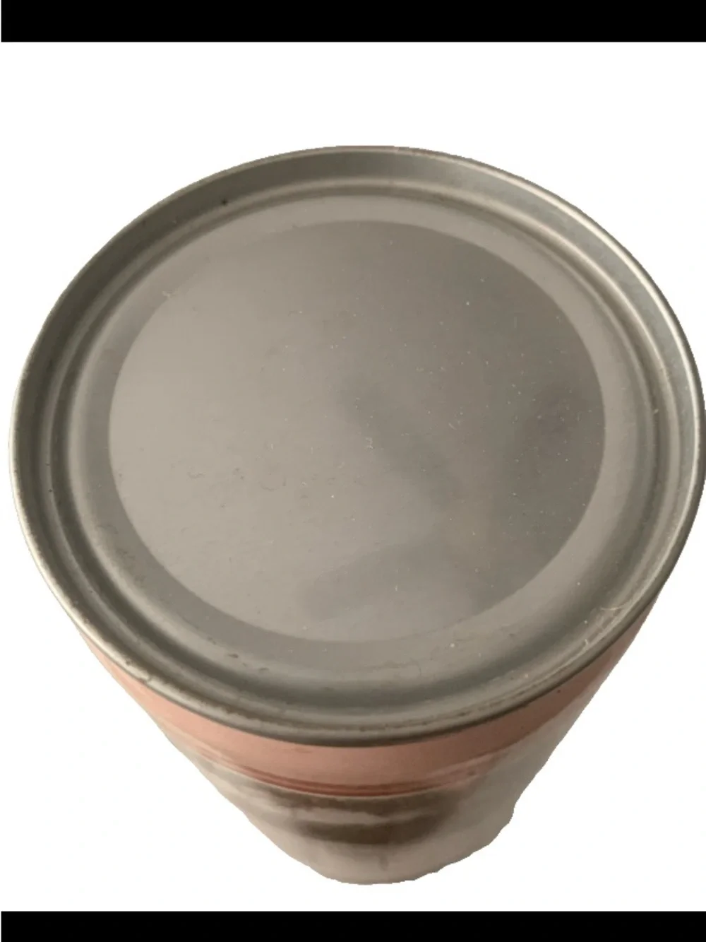 Vintage Beer Can Olde Frothingslosh Pale Stale Ale O Dear O Dear Empty Steel Can